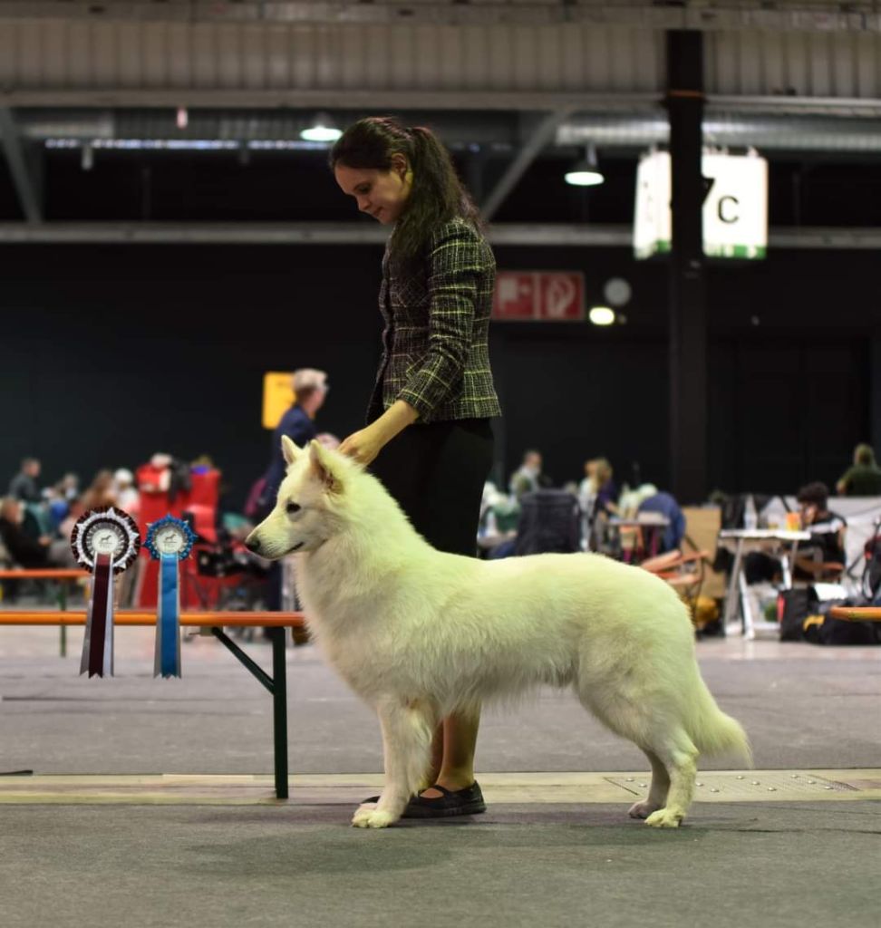 CH. Rider white winner Eymji