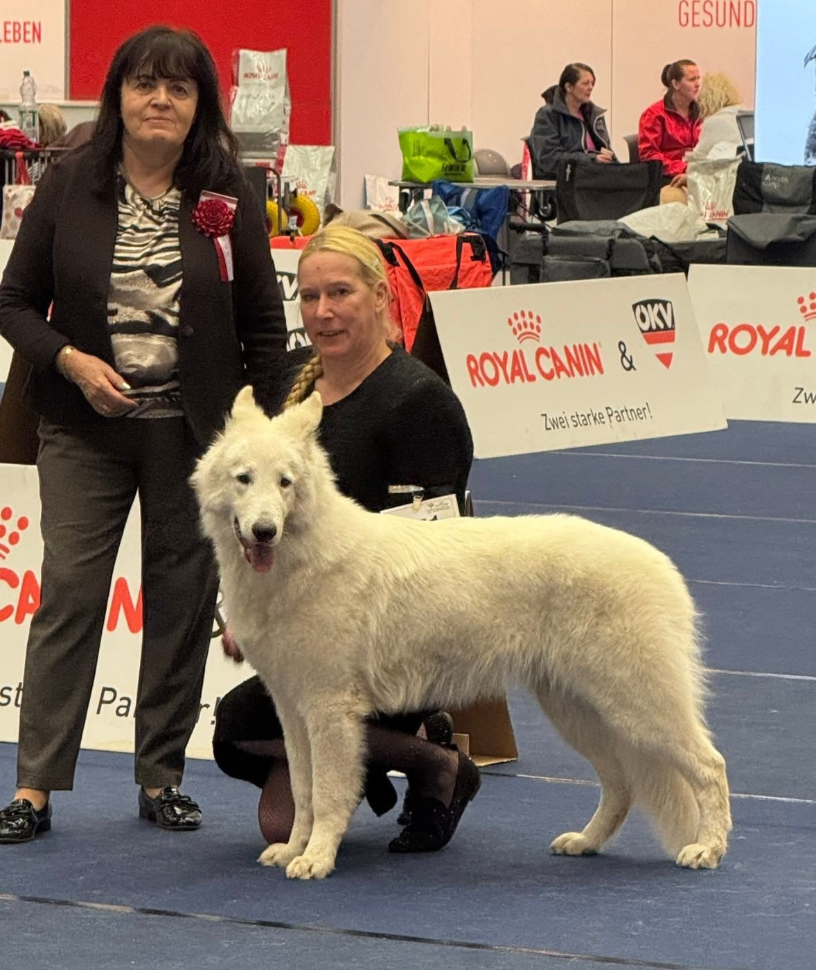 Nouveau titre à la Niche !!!