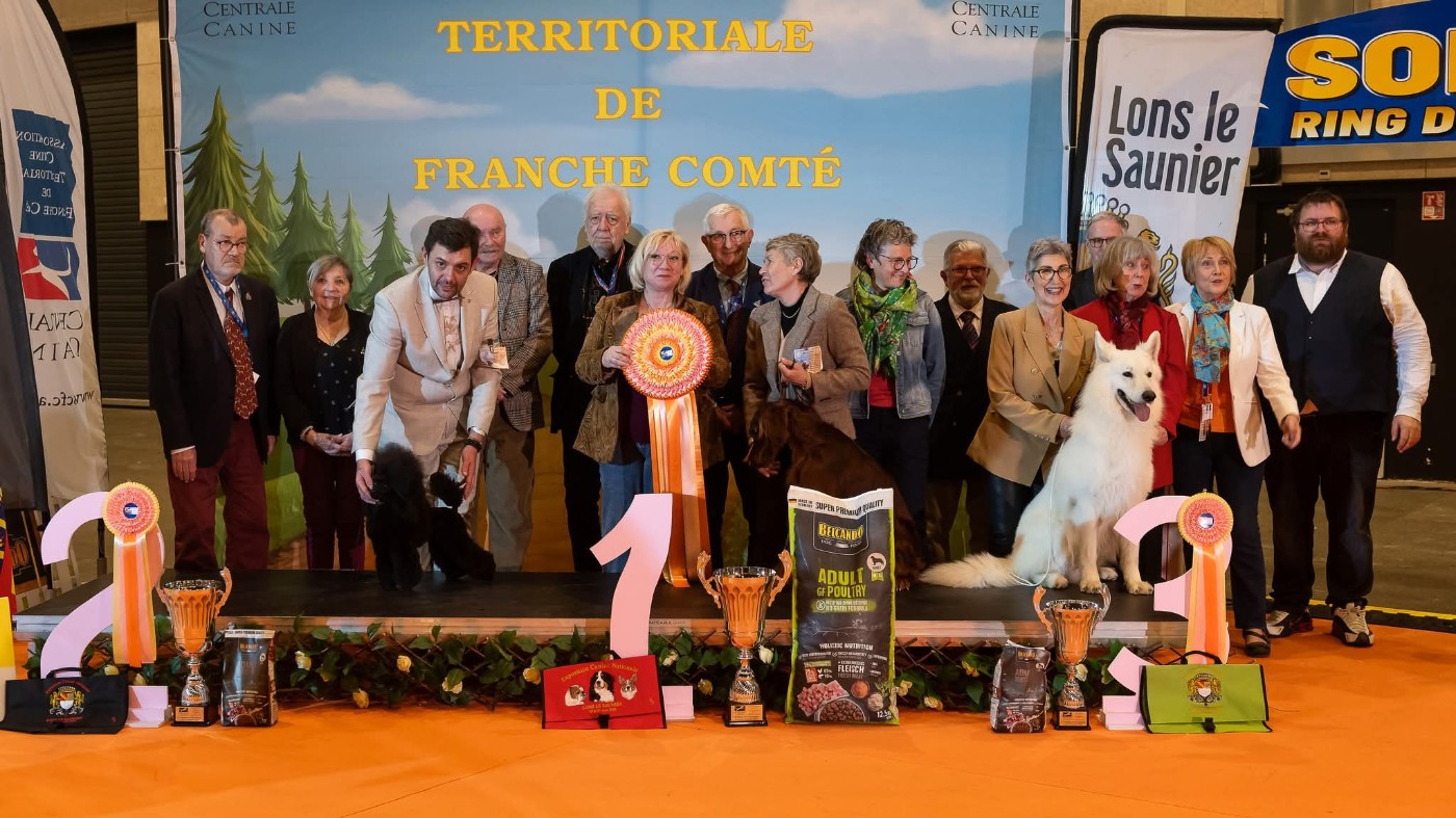 BEST IN SHOW III Lons le Saunier